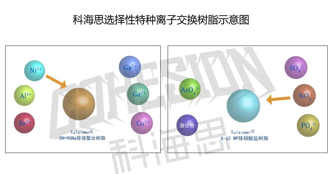 在實際水處理運行中，離子交換樹脂選擇性的影響因素有哪些